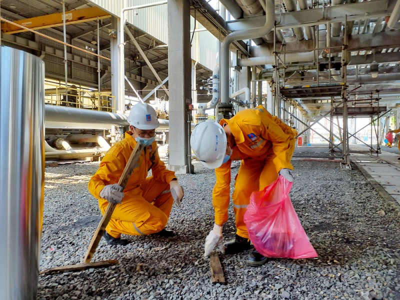 KCM trồng 1.000 cây hoa dọc hành lang tuyến ống trên bờ của Hệ thống khí PM3 - Cà Mau KCM trồng 1.000 cây hoa dọc hành lang tuyến ống trên bờ của Hệ thống khí PM3 - Cà Mau