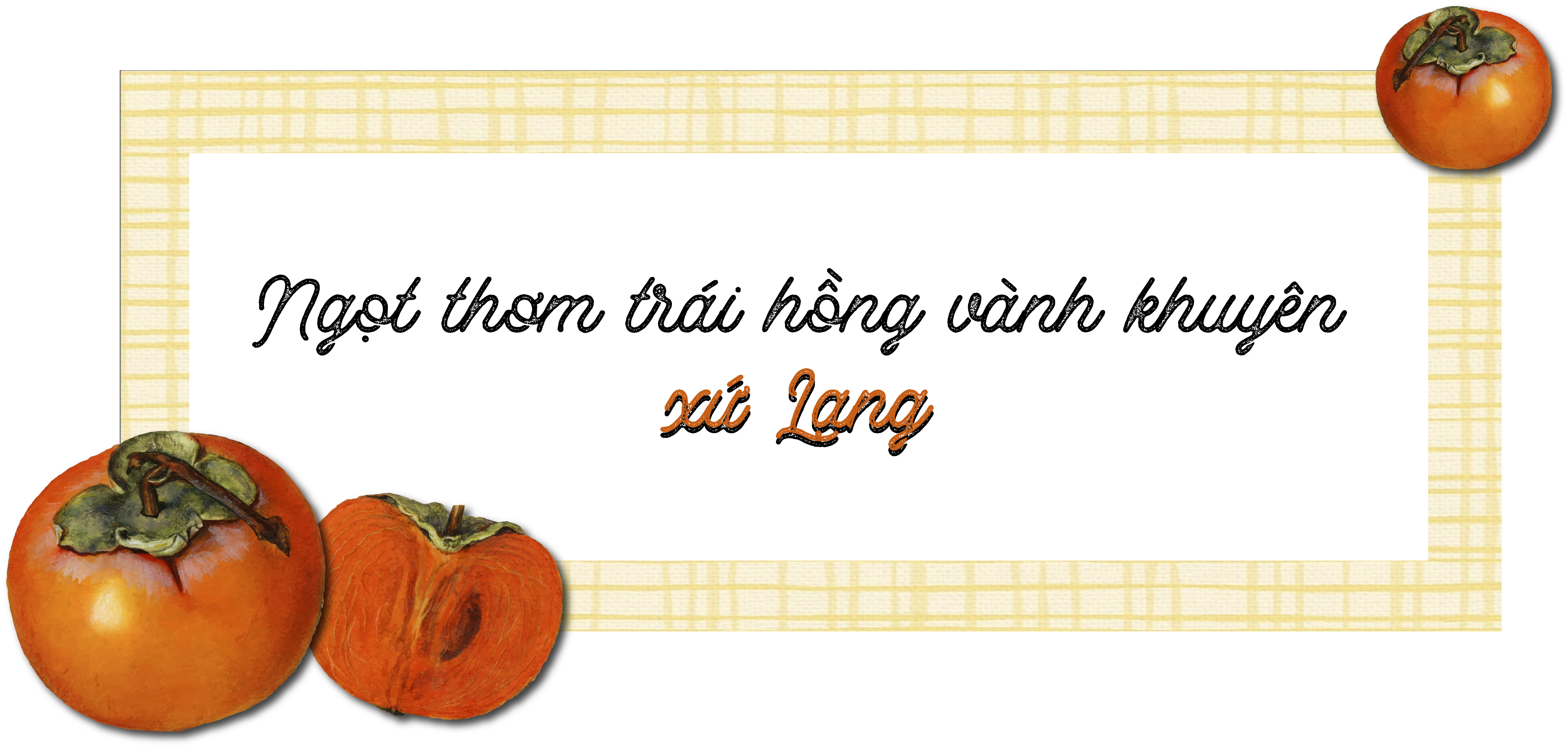 Longform | Ngọt thơm trái hồng vành khuyên xứ Lạng Longform | Ngọt thơm trái hồng vành khuyên xứ Lạng