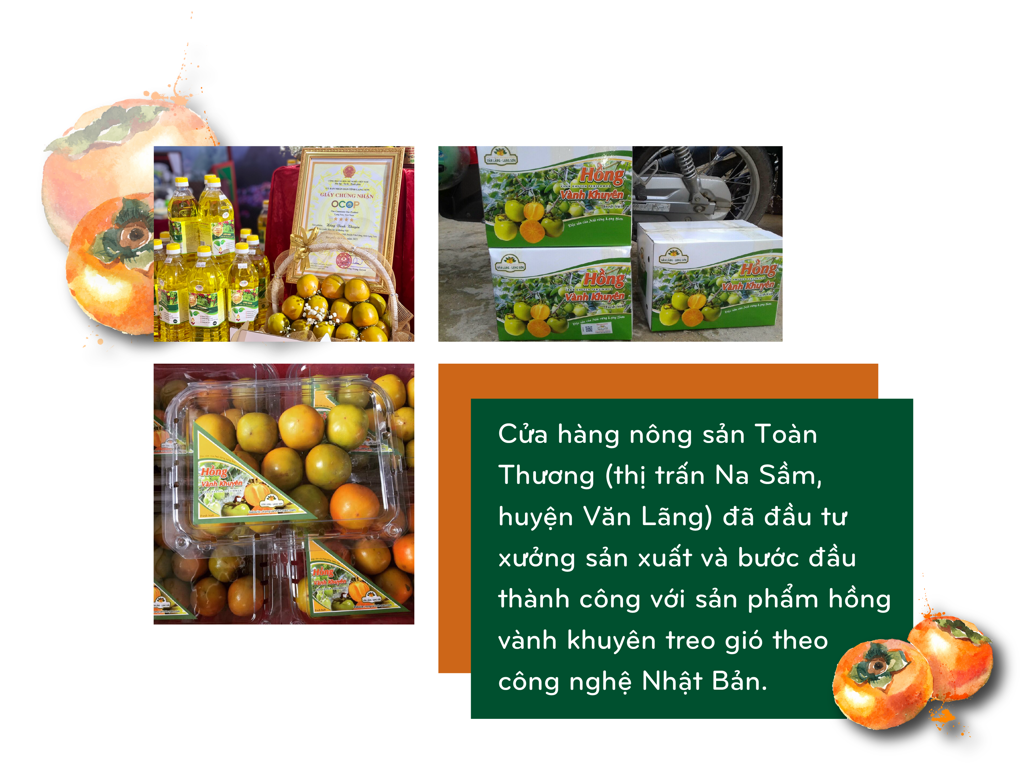 Longform | Ngọt thơm trái hồng vành khuyên xứ Lạng Longform | Ngọt thơm trái hồng vành khuyên xứ Lạng