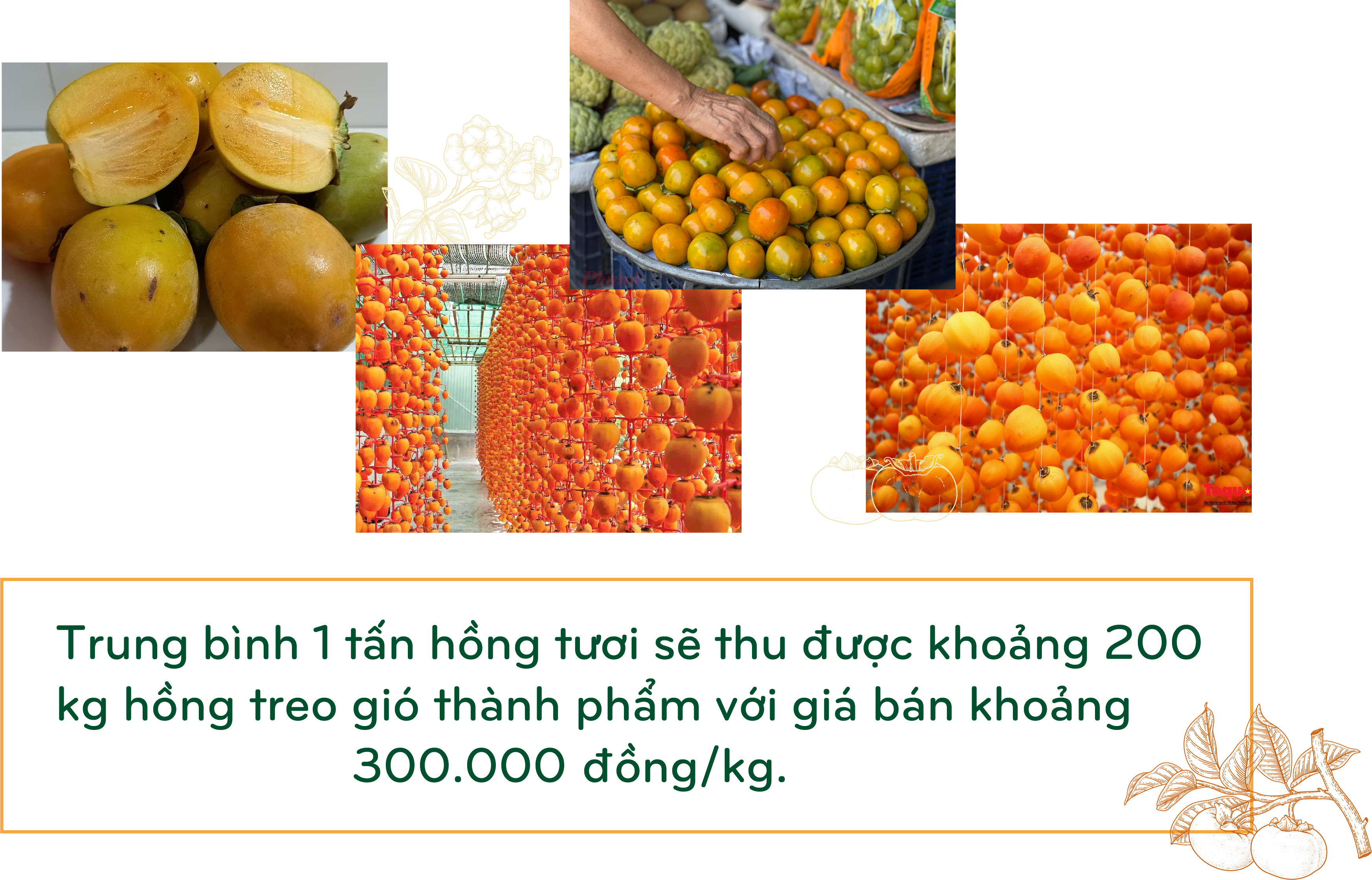 Longform | Ngọt thơm trái hồng vành khuyên xứ Lạng Longform | Ngọt thơm trái hồng vành khuyên xứ Lạng