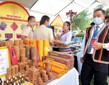 Quảng Ngãi: Hỗ trợ huyện miền núi sản xuất theo chuỗi giá trị