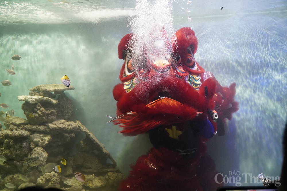 Múa lân dưới nước Tết Trung thu Múa lân dưới nước Tết Trung thu