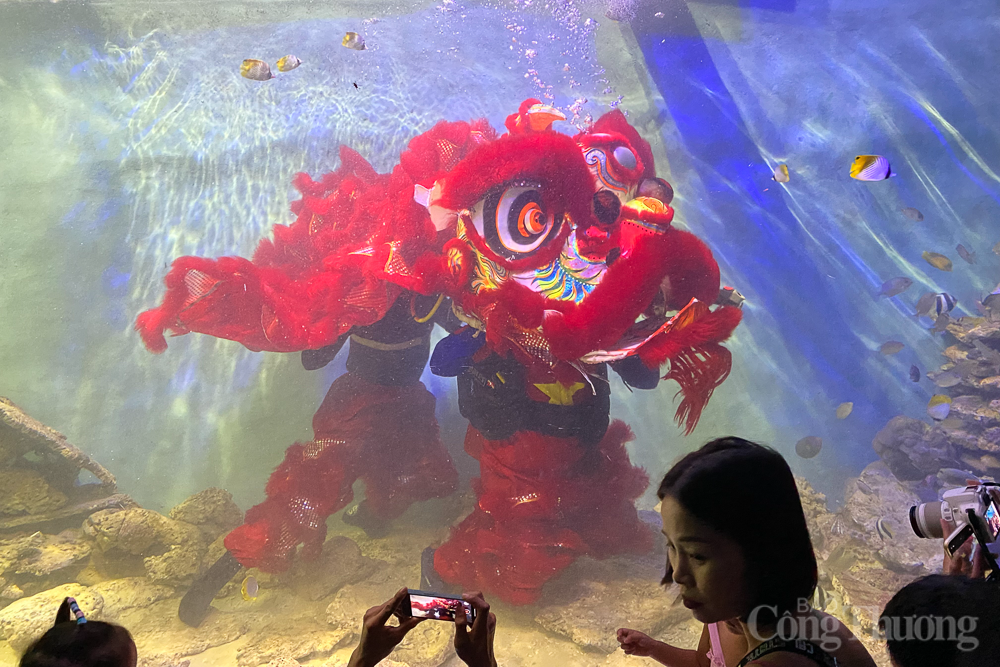 Múa lân dưới nước Tết Trung thu Múa lân dưới nước Tết Trung thu