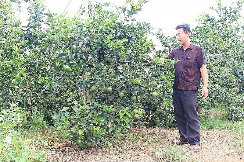 Thanh Hoá: Nhiều thành tựu khởi sắc trong xây dựng nông thôn mới Thanh Hoá: Nhiều thành tựu khởi sắc trong xây dựng nông thôn mới