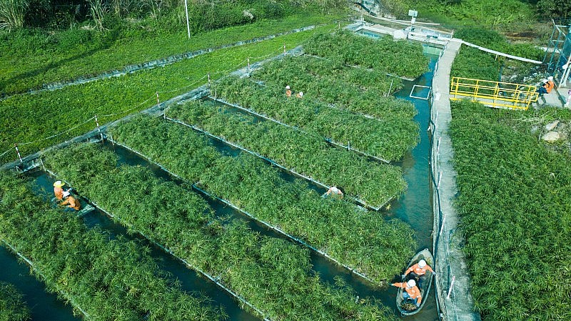 Phát triển xanh hướng đến Net Zero carbon: Bài 2 - Các ngành sản xuất “chuyển mình” theo hướng xanh