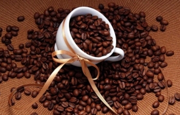 Giá cà phê mới nhất ngày 29/9/2023: Thị trường trong nước tăng 300 đồng/kg