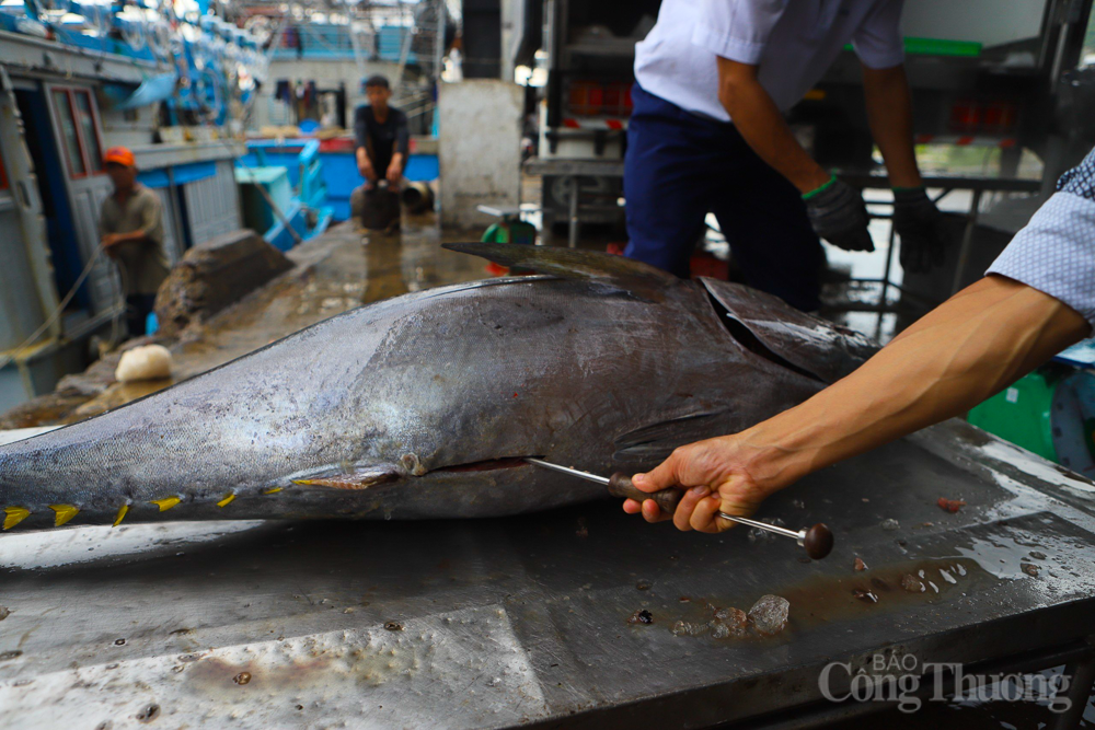Nhật Bản là thị trường xuất khẩu đứng đầu châu Á của Khánh Hòa Nhật Bản là thị trường xuất khẩu đứng đầu châu Á của Khánh Hòa