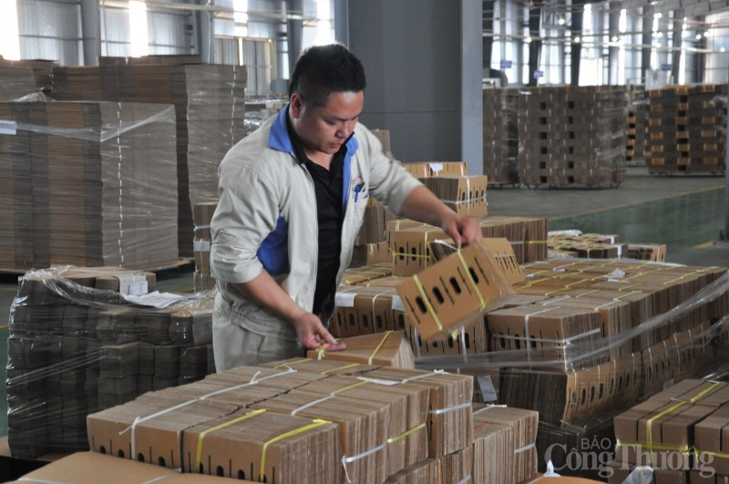 Bài 3: Vững bước trên con đường mới Bài 3: Vững bước trên con đường mới