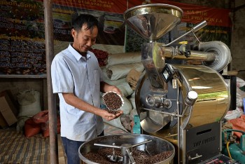 Giải pháp nào để cà phê đạt tiêu chuẩn sản phẩm OCOP 5 sao?