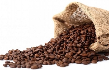 Giá cà phê mới nhất ngày 2/10/2023: Thị trường trong nước ổn định