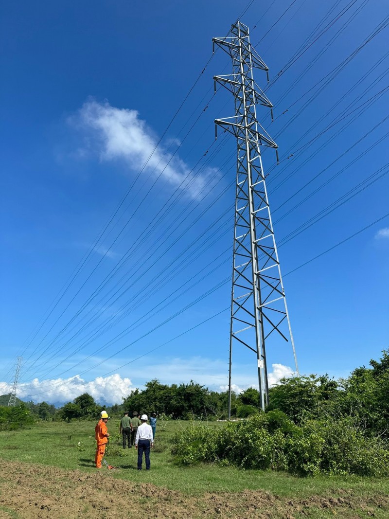 Một trụ điện bị tháo mất nhiều thanh giằng. Ảnh: Đ.L