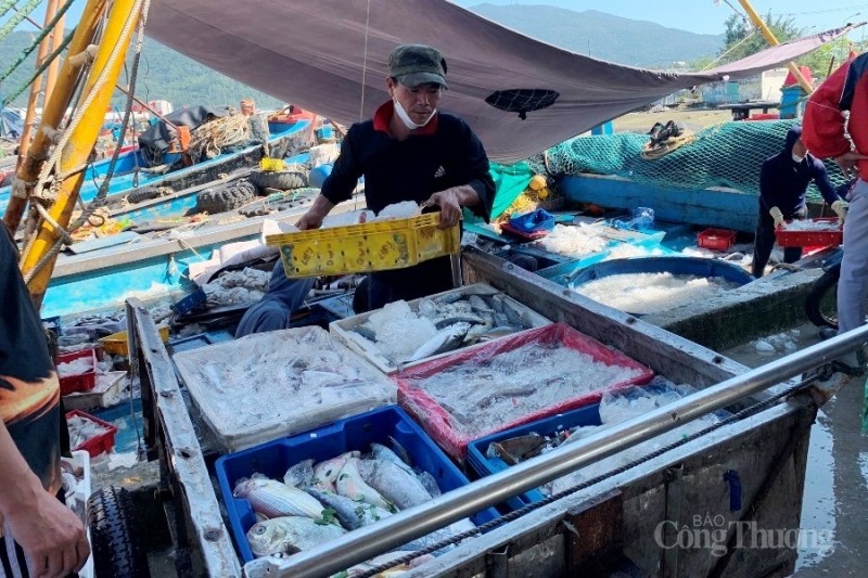 Đoàn Thanh tra Uỷ ban Châu Âu (EC) sẽ kiểm tra sản lượng hải sản tại các cảng cá - Ảnh: NPH Đoàn Thanh tra Uỷ ban Châu Âu (EC) sẽ kiểm tra sản lượng hải sản tại các cảng cá - Ảnh: NPH