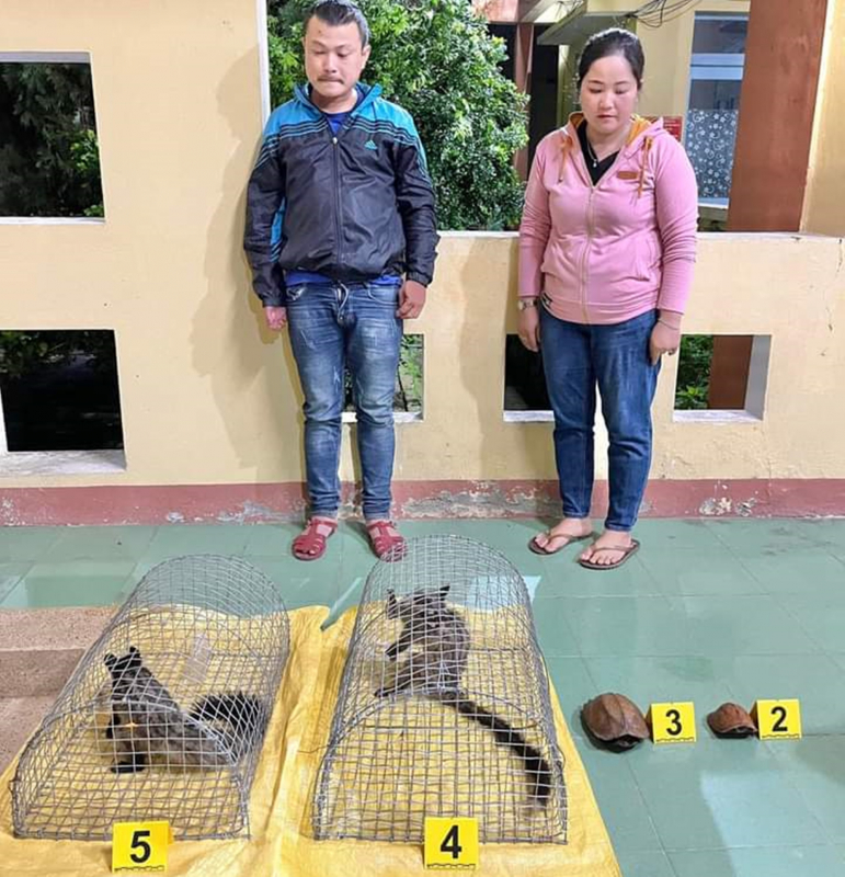 Tạm giữ 2 đối tượng mua bán động vật hoang dã quý hiếm trái phép -0