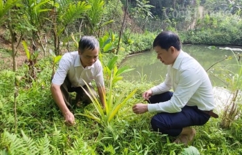 Chuyện về người có uy tín giúp đồng bào dân tộc thiếu số ở bản Chong “đuổi đói nghèo”