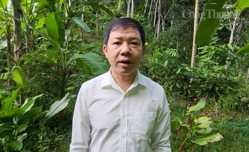 Chuyện về người có uy tín giúp đồng bào dân tộc thiếu số ở bản Chong “đuổi đói nghèo” Chuyện về người có uy tín giúp đồng bào dân tộc thiếu số ở bản Chong “đuổi đói nghèo”