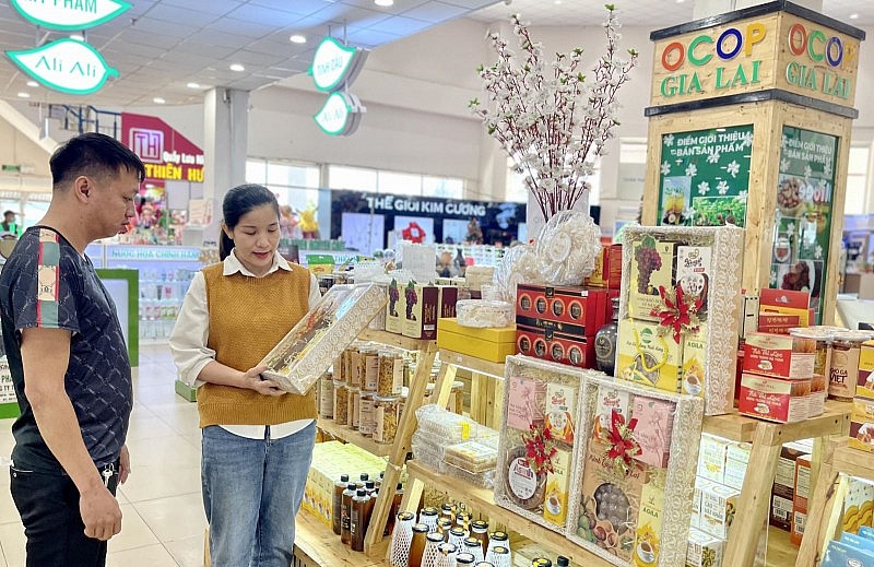 Gia Lai: Kết nối cung cầu, thúc đẩy sản xuất, kinh doanh vùng đồng bào dân tộc thiểu số Gia Lai: Kết nối cung cầu, thúc đẩy sản xuất, kinh doanh vùng đồng bào dân tộc thiểu số