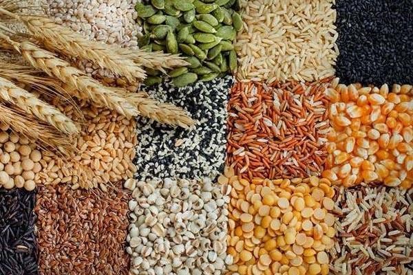 Vận chuyển ngũ cốc của Mỹ đối mặt với rủi ro Vận chuyển ngũ cốc của Mỹ đối mặt với rủi ro