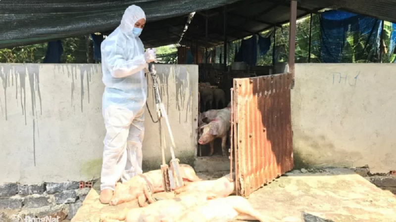 Bản tin Chống buôn lậu 7/10: Lật tẩy thủ đoạn gia cố xe ôtô giấu hàng cấm; Bắt giữ nhiều vụ vận chuyển pháo Bản tin Chống buôn lậu 7/10: Lật tẩy thủ đoạn gia cố xe ôtô giấu hàng cấm; Bắt giữ nhiều vụ vận chuyển pháo