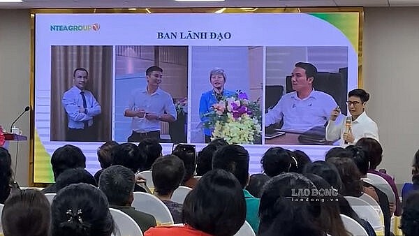 Trái đắng rót vốn đầu tư trồng chè, rau má lãi suất không tưởng Trái đắng rót vốn đầu tư trồng chè, rau má lãi suất không tưởng