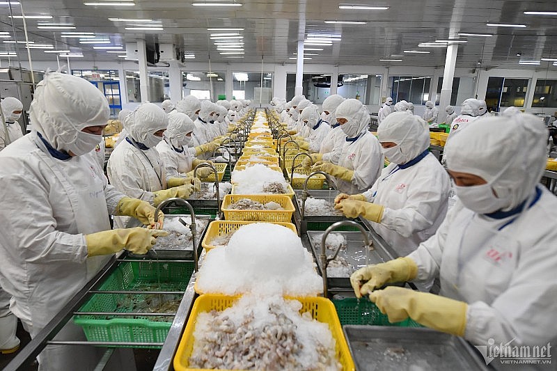 Các doanh nghiệp thủy sản bước vào giai đoạn tăng tốc, đón mua vàng cuối năm (Ảnh: Hoàng Hà). Các doanh nghiệp thủy sản bước vào giai đoạn tăng tốc, đón mua vàng cuối năm (Ảnh: Hoàng Hà).