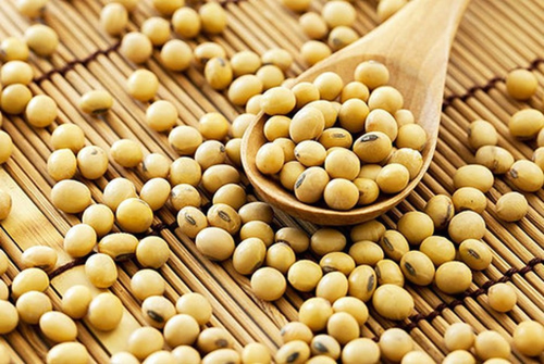 Ảnh minh họa Ảnh minh họa