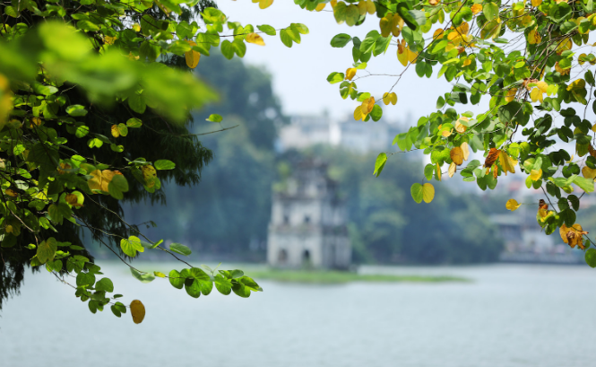 Ảnh minh họa Ảnh minh họa