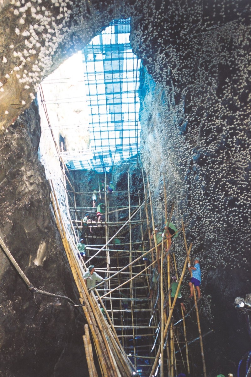 Giá trị dinh dưỡng, hỗ trợ sức khỏe từ tinh chất yến sào thiên nhiên Khánh Hòa Giá trị dinh dưỡng, hỗ trợ sức khỏe từ tinh chất yến sào thiên nhiên Khánh Hòa