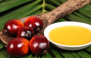 Tồn kho dầu cọ cuối tháng 9 của Malaysia đạt mức cao nhất trong 11 tháng