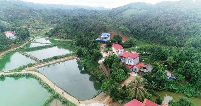 Thôn Khởi Khe thị trấn Nông trường Phong Hải bừng sáng từ Nghị quyết 10 Thôn Khởi Khe thị trấn Nông trường Phong Hải bừng sáng từ Nghị quyết 10