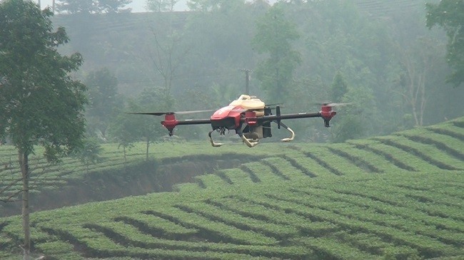 Áp dụng cơ giới hóa vào phòng trừ sâu bệnh cho vùng chè Áp dụng cơ giới hóa vào phòng trừ sâu bệnh cho vùng chè