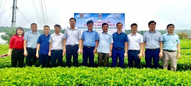 Hội nghị đầu bờ đánh giá chất lượng chè dùng phân bón hữu cơ trên cây trồng lâu năm Hội nghị đầu bờ đánh giá chất lượng chè dùng phân bón hữu cơ trên cây trồng lâu năm