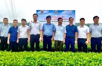 Nghị quyết 10 tạo đột phá, khơi nguồn lực phát triển nông nghiệp ở Bảo Thắng