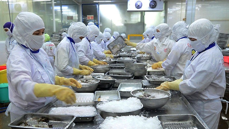 Mở rộng cơ hội cho xuất khẩu Mở rộng cơ hội cho xuất khẩu