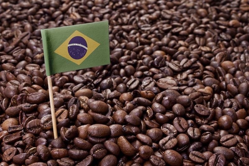 Giá cà phê khởi sắc khi xuất khẩu tháng 9 bất ngờ giảm tại Brazil Giá cà phê khởi sắc khi xuất khẩu tháng 9 bất ngờ giảm tại Brazil