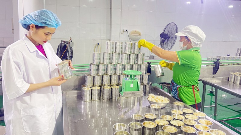 Sản phẩm nhãn đóng hộp của Công ty cổ phần Xuất nhập khẩu Vifoco được lựa chọn tham gia đánh giá, phân hạng OCOP 5 sao quốc gia. Sản phẩm nhãn đóng hộp của Công ty cổ phần Xuất nhập khẩu Vifoco được lựa chọn tham gia đánh giá, phân hạng OCOP 5 sao quốc gia.