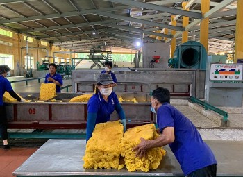 Tháng 9/2023, xuất khẩu cao su sang Trung Quốc tăng tháng thứ 8 liên tiếp