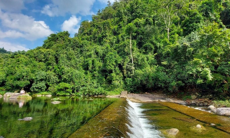 Kiểm toán Quỹ bảo vệ và phát triển rừng giai đoạn 2020-2022: Nhiều địa phương chưa báo cáo đầy đủ Kiểm toán Quỹ bảo vệ và phát triển rừng giai đoạn 2020-2022: Nhiều địa phương chưa báo cáo đầy đủ