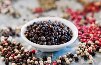 Giá hạt tiêu hôm nay 13/10/2023: Giá hạt tiêu trong nước giảm 1.000 đồng/kg