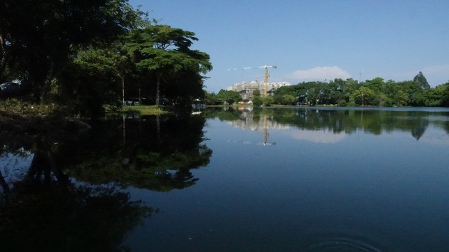 Hồ nước Công viên văn hóa An Hòa TP.Rạch Giá rất rộng, việc truy bắt 4 con cá sấu còn lại không hề dễ dàng