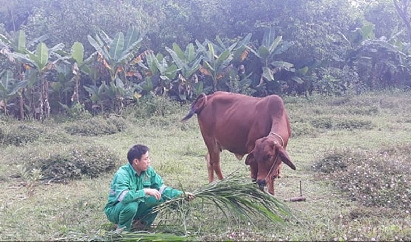 Thị xã Nghi Sơn (Thanh Hóa): Nỗ lực giảm nghèo bền vững