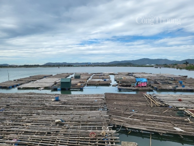 Thị xã Nghi Sơn (Thanh Hóa): Nỗ lực giảm nghèo bền vững