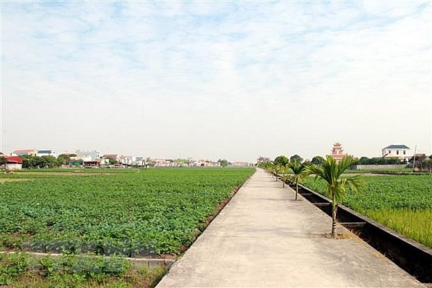 Giao thông nội đồng ở xóm nông thôn mới kiểu mẫu thông minh. (Ảnh minh họa. Văn Đạt/TTXVN) Giao thông nội đồng ở xóm nông thôn mới kiểu mẫu thông minh. (Ảnh minh họa. Văn Đạt/TTXVN)