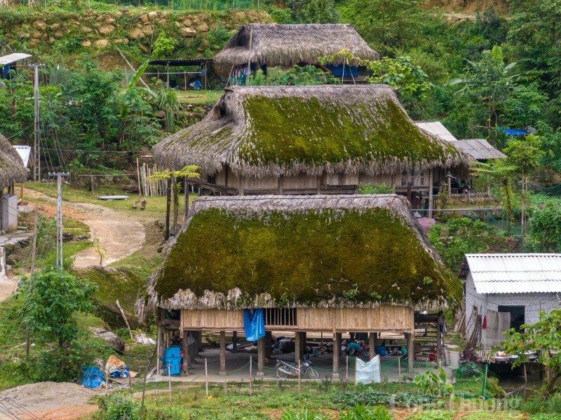 Sau hàng thập kỷ phơi nắng, tắm mưa, những mái nhà bắt đầu mọc rêu. Sau hàng thập kỷ phơi nắng, tắm mưa, những mái nhà bắt đầu mọc rêu.