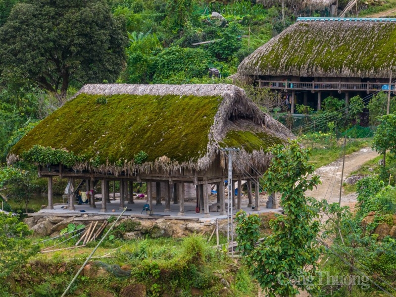 Rêu phủ từ những mái nhà rồi cả những phiến đá nơi đây Rêu phủ từ những mái nhà rồi cả những phiến đá nơi đây