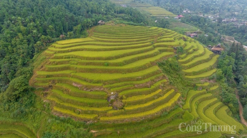 Từ bao đời nay, những ngôi nhà sàn lợp mái lá cọ đã che chở, bảo vệ người dân với thời tiết. Theo như người dân ở đây cho biết, nhà lợp lá cọ sẽ ấm hơn về mùa Đông, mát về mùa Hè. Từ bao đời nay, những ngôi nhà sàn lợp mái lá cọ đã che chở, bảo vệ người dân với thời tiết. Theo như người dân ở đây cho biết, nhà lợp lá cọ sẽ ấm hơn về mùa Đông, mát về mùa Hè.