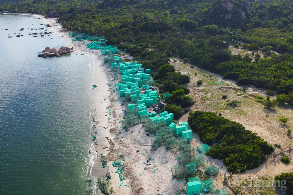 Rác thải 'tấn công' bờ biển Cam Ranh