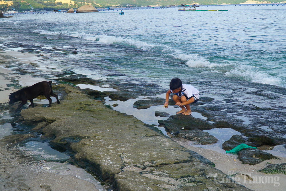 Rác thải 'tấn công' bờ biển Cam Ranh