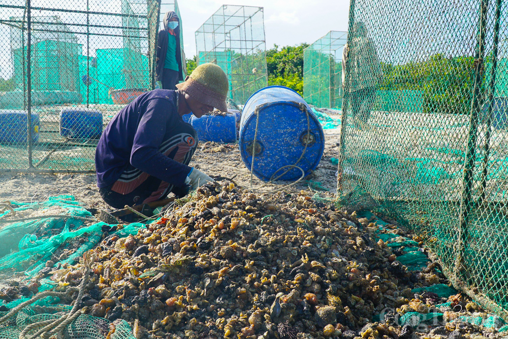 Rác thải 'tấn công' bờ biển Cam Ranh