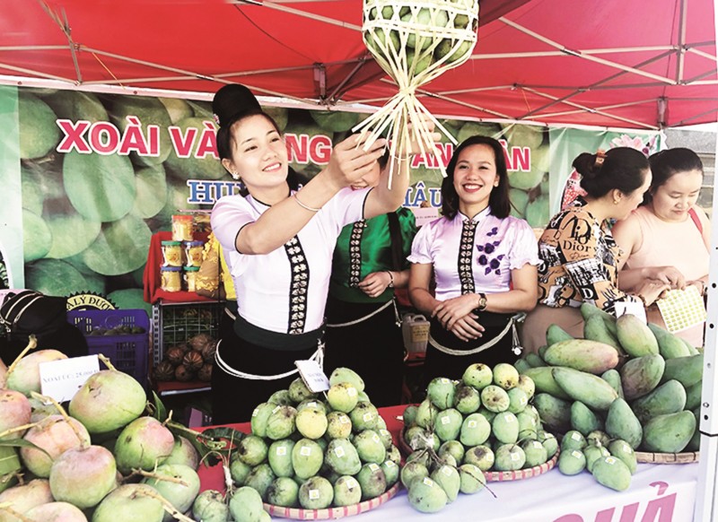 Sơn La đẩy mạnh xúc tiến tiêu thụ nông sản thông qua các hội chợ, triển lãm trong và ngoài tỉnh (Ảnh: Thúy Hồng) Sơn La đẩy mạnh xúc tiến tiêu thụ nông sản thông qua các hội chợ, triển lãm trong và ngoài tỉnh (Ảnh: Thúy Hồng)