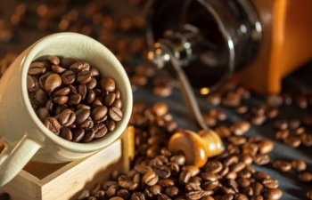 Giá cà phê mới nhất ngày 15/10/2023: Thị trường trong nước tăng đến 300 đồng/kg